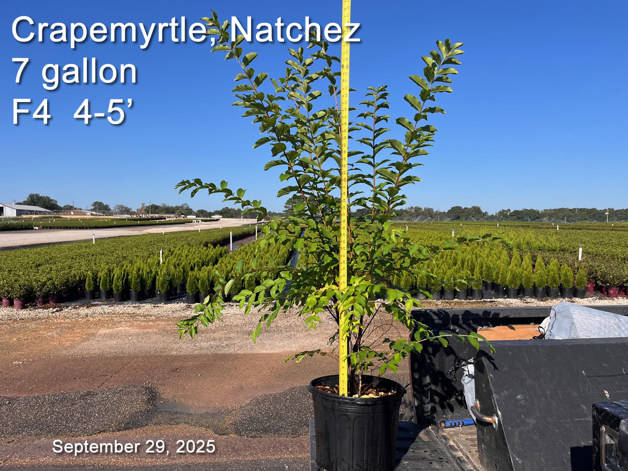 gallery/cnz7 f4 sept29.jpg